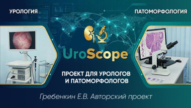 UroScope. Проект для урологов и патоморфологов. Выпуск №5. «Морфологические аспекты мужского бесплодия»